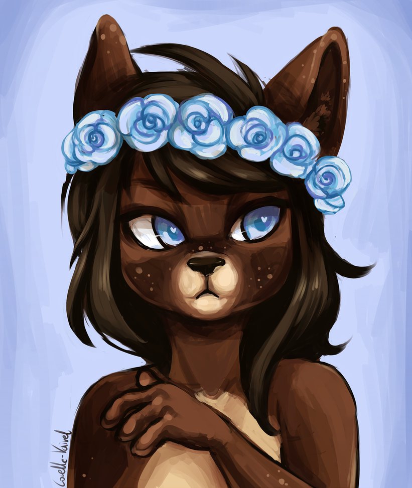 Im A Cute Foxy Furry Art Pinterest Furry Art And Steam Profile