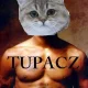 Tupacz98