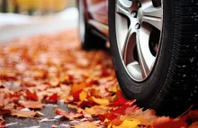 Kolejne przejęcie niemieckiej firmy. Nowa polska firma idzie po Europę.