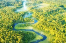 Nowy Park Narodowy Dolina Dolnej Odry w Polsce