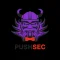 Pushsec