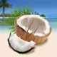 Coconut-nut