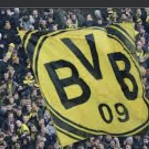 bvbhessen