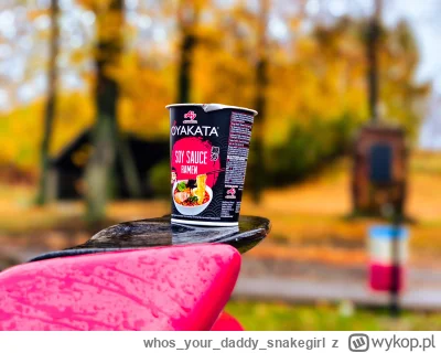 whosyourdaddy_snakegirl - Przydają się jak trzeba postawić sobie jedzonko na nich ( ͡...