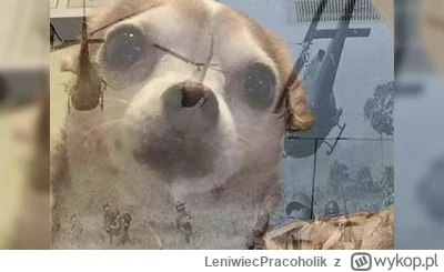 LeniwiecPracoholik - @Pie_Man b--ń za łowienie?