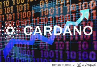 tomas-minner - Szczegółowy przegląd projektu Cardano i kryptowaluty ADA. 
https://inc...