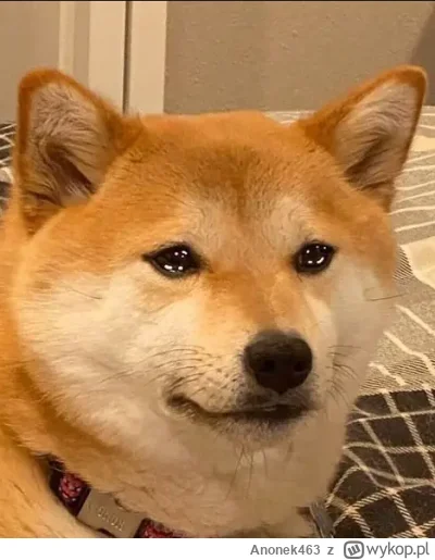 Anonek463 - Od tygodnia szukam pracy w okolicy mojego miejsca zamieszkania, nigdy nie...