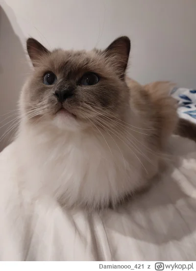 Damianooo_421 - Leoś mówi dobranoc