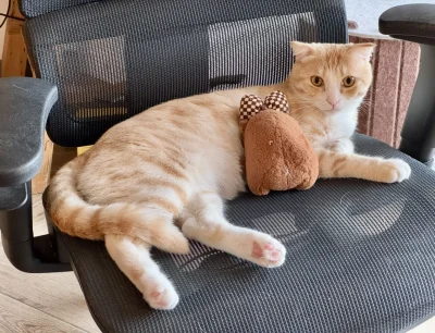 Badmadafakaa - #smiesznypiesek