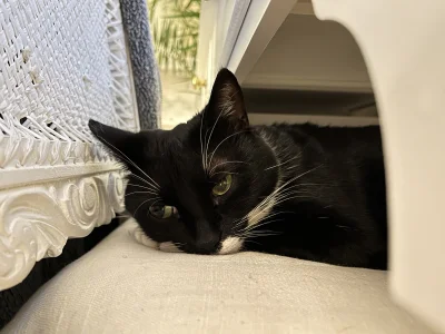 strasznycham - @strasznycham: