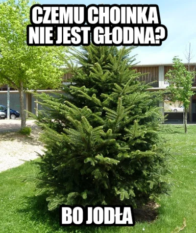 jatutylkonamoment - #heheszki #humorobrazkowy