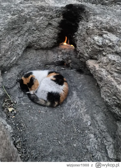 wizjoner1988 - @samarin ognie chimery ( ͡º ͜ʖ͡º)