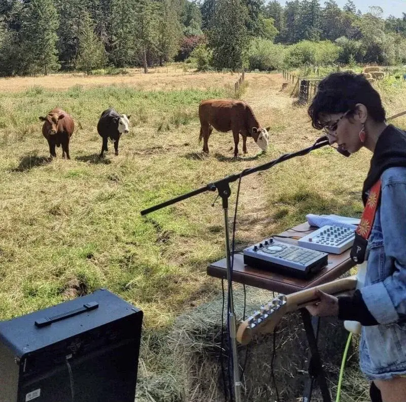 wfyokyga - Koncert dla kruwkuw