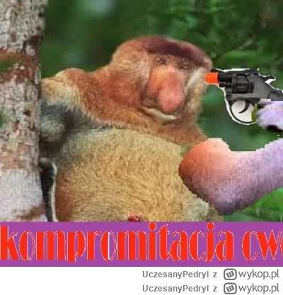 UczesanyPedryl - Kartofel siedzi cicho z ryłem i już gotuje 4 bigos.

#bitcoin #krypt...