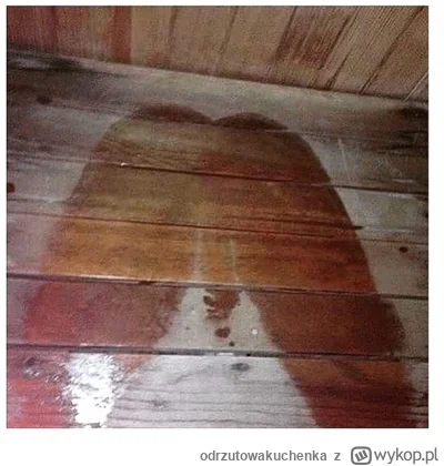 odrzutowakuchenka - ehhhh co ci szwedzi to ja nie...
#eurowizja