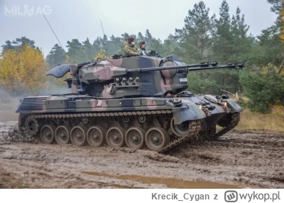 Krecik_Cygan - Rumunski gepard 35 mm