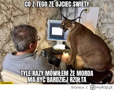 Brynica - No to co Mircy? #2137