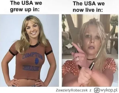 ZawzietyRobaczek - #heheszki #usa #britneyspears #smuteczek #smutnaprawda