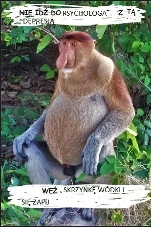 lvbie_placki - #konkursnanajbardziejgownianymemznosaczem