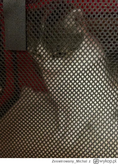 Zeswirowany_Michal - KARA