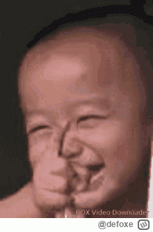 defoxe - Donald, ty wiesz co...