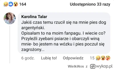 WielkiNos - Psiarze obwinili niepełnosprawną kobietę na wózku, którą zaatakował dog a...