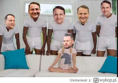 Uvmeneal - XDDD krótko mówiąc

#polityka #wybory #kanalzero