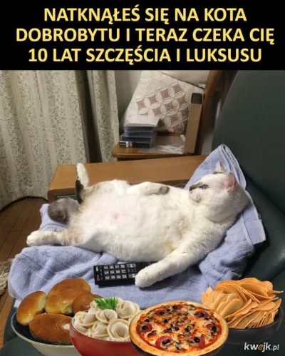 FrizPL_ - #memy #heheszki #humorobrazkowy