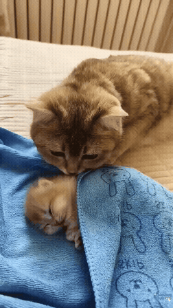 jestemtakizmeczony - @jestemtakizmeczony: