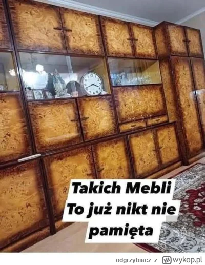 odgrzybiacz - #meble #retro #socjalizm #komunizm #socrealizm #design #prl