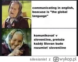 silesianist - #czeskiememy - to nawet nie on. 


#slowackiememy