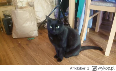 Afrobiker - @Afrobiker