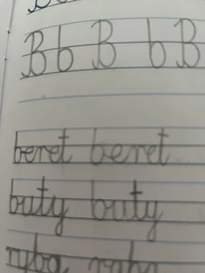 f.....j - Pytanie do rodziców dzieci w wieku szkolnym. Jakie małe b się uczyły pisać ...