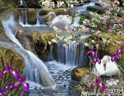 szyderczy_szczur - Wklejam źródło