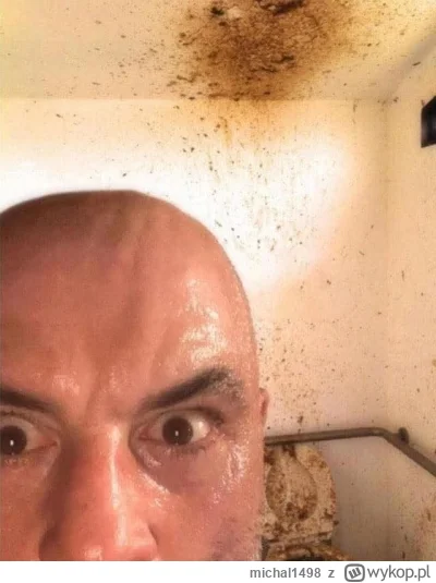 michal1498 - #przegryw