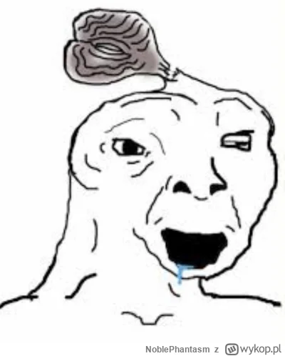 NoblePhantasm - @mojwykopowylogin: