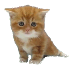 Teuvo - czasami tak jest że ja kogoś lubię na wypok a ta osoba zdaje się mnie ewident...