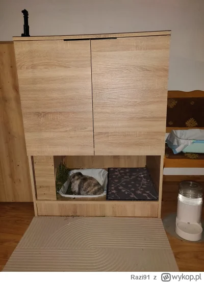 Razi91 - Gotowe w końcu, króliczki przeprowadzone do nowego lokum. Jest parę niedocią...