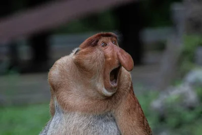 M4rcinS - O kurła, już niedziela wieczur.
#konkursnanajbardziejgownianymemznosaczem