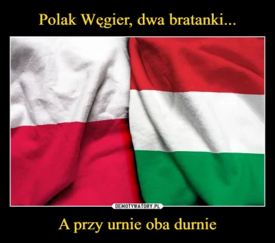BIALYBUREK - Dlaczego polscy prawicowcy tak bardzo bronią naszego "braterstwa" z Węgr...