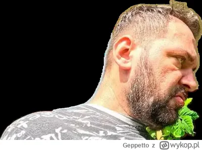 Geppetto - #raportzpanstwasrodka małpa zarośnięta fchooj skacowana