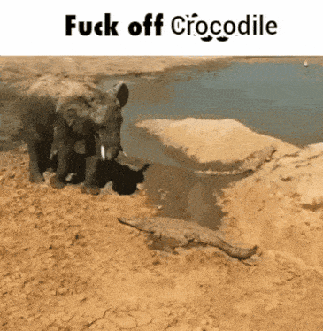 arkan997 - #heheszki #gif