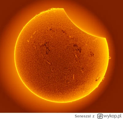 Seneszal - Cześć! 
Część z Was może mnie kojarzyć z drewnianych mebli, które wykonywa...