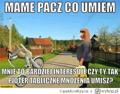 CipakKrulRzycia - @wfyokyga: a już za 8 dni