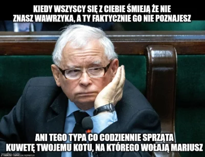 Jabby - #bekazpisu #polityka