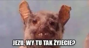 zbyszko-z-bogdanca - #wykop #reklamy