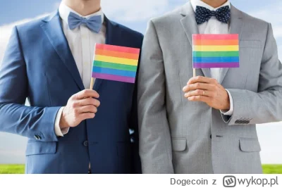 Dogecoin - - Dzień dobry, przyszliśmy panu zniszczyć małżeństwo.
- Słucham...? Jak to...