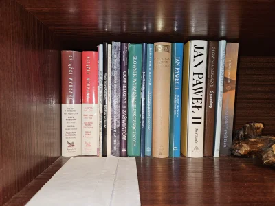 RicoElectrico - Mirki z #czytajzwykopem #ksiazki
Zrobiłem szybką inwentaryzację bibli...