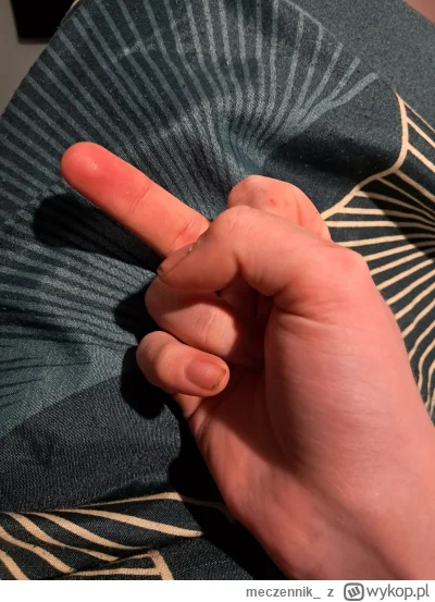 meczennik_ - #przegryw @NihilistycznyFemboy