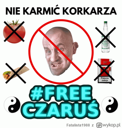 Fatalista1988 - #danielmagical #raszei #patostreamy #chlopakizraszei